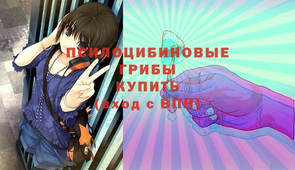молекула духа Бугульма