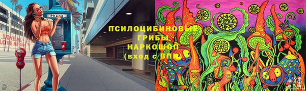 стафф Ростов