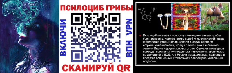 Псилоцибиновые грибы GOLDEN TEACHER  Малоярославец 